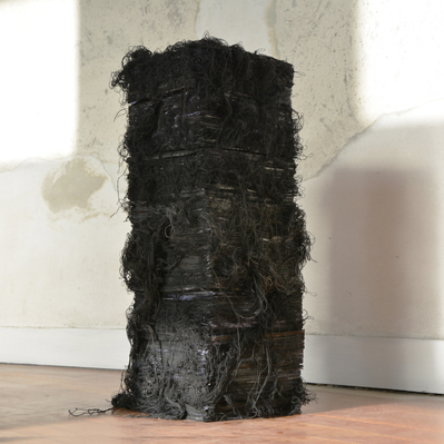  | Il libro delle seppie