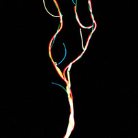 Giuseppe Mestrangelo | VEGETANT