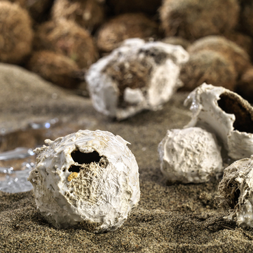  | C&rsquo;era una volta il Mare - PARTICOLARE