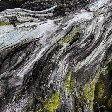 Kenjiro Asaki | Old Tree