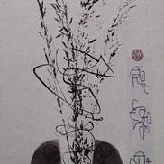  | Germinazione