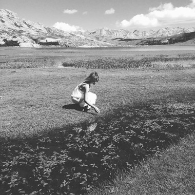 Luca Papini | Ifigenia a Parigi