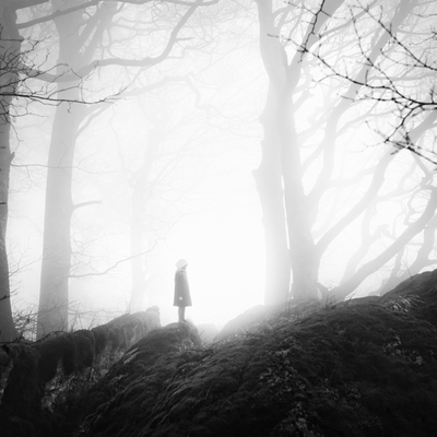  | Luce nella nebbia