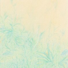  | Infinite Blooming
