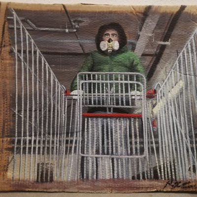  | Tra le sbarre di un carrello