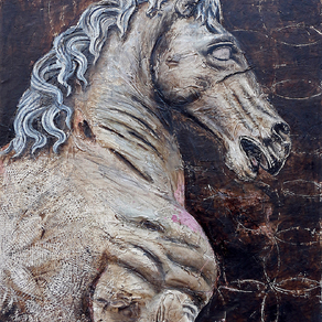  | Cavallo di Dioscuro
