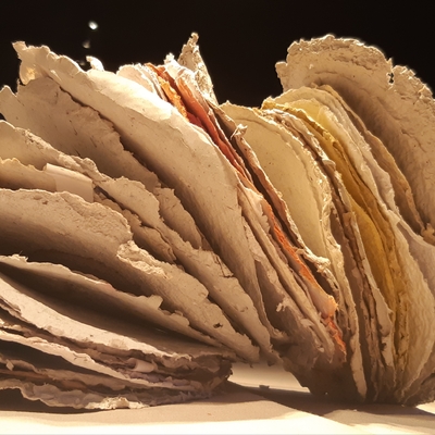  | IL LIBRO ROTONDO