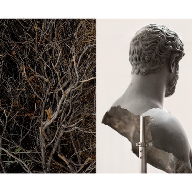 Alessandra Baldoni | The Last Journey_12