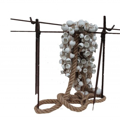  | fragile abbondanza