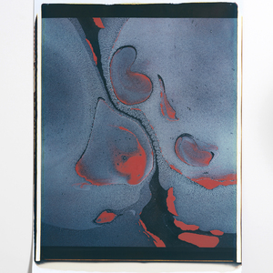 | Gaea #14, 2018