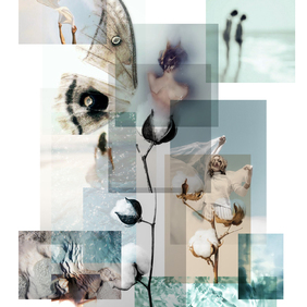  | Birth