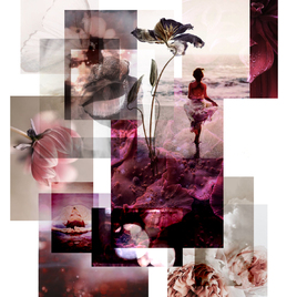 Chiara Trevisan | Dreams