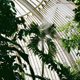  | Untitled #4