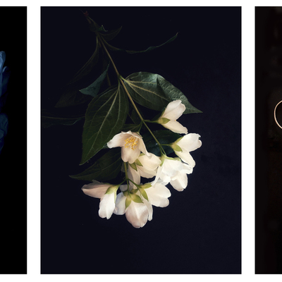  | &ldquo;La_ natura_ non_ si_ &egrave;_ fermata #13#14#15&rdquo;