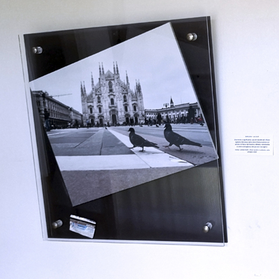  | Milano - Teca in esposizione