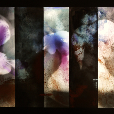  | X-Ray portraits