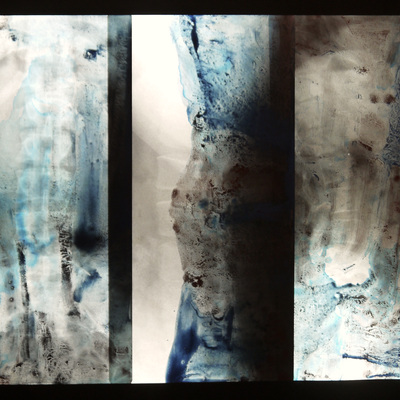  | X-Ray portraits