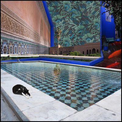  | Room n. 2 &ndash; LA PISCINE (Marrakech 2011)