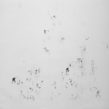 Frédérique NOLET DE BRAUWERE | Espace 03.03.22.Equidés