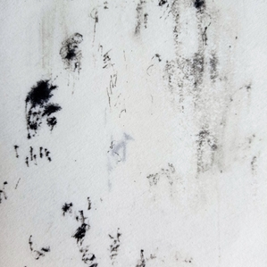  | Espace 03.03.22.Equid&eacute;s