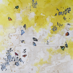 Laura Duduleanu | Enchantment