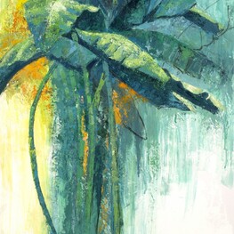 Letizia Cavallo | Musa paradisiaca