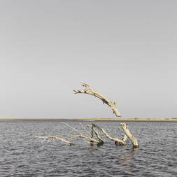 Marcel Stahn | Watch as I dive in
