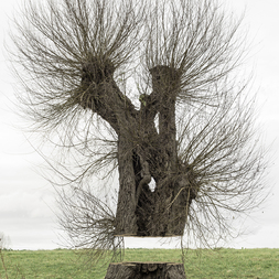 Marcel Stahn | Come to where the carbon is