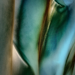 Marek Boguszak | Blue Lily