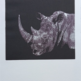 Maria Teresa Rizzuti | black rhinoceros
