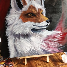  | Red fox