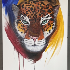  | Leopard
