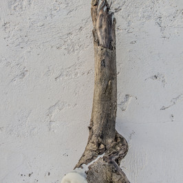  | guardiano 2
