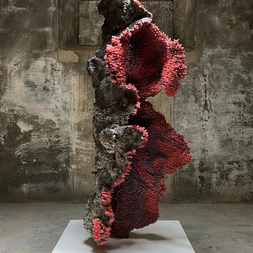 Matteo Pucci | Telamone