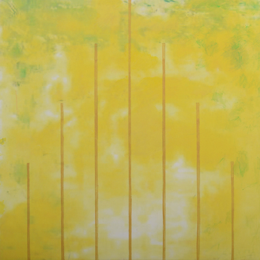 NICOLA COSTANZO | ASCENSIONE