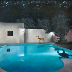  | stella cadente