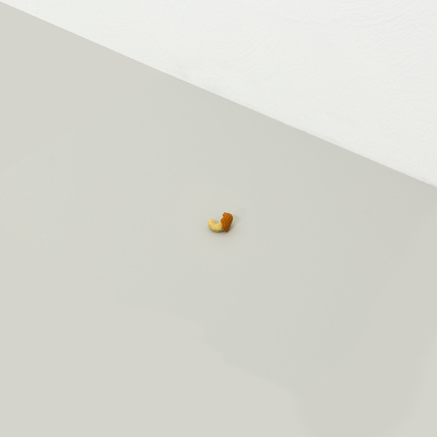  | Venere degli Anacardi