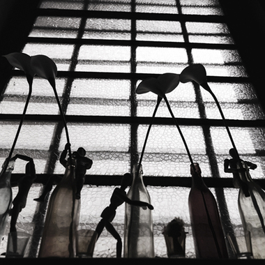 Sebastiano Cosimo Auteri | Behind the windows.