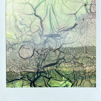  | My sea
