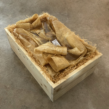 Davide Viggiano | Homo Fa(i)ber archive