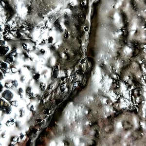 | Cromo 2.23 particolare