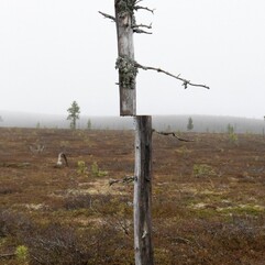 heidundgriess _Artist Duo_ | Transforming Landscapes I