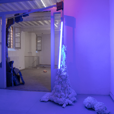 Livia Ribichini | Ianua