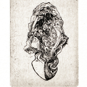  | Conchiglia (acquaforte) / Shell (etching)