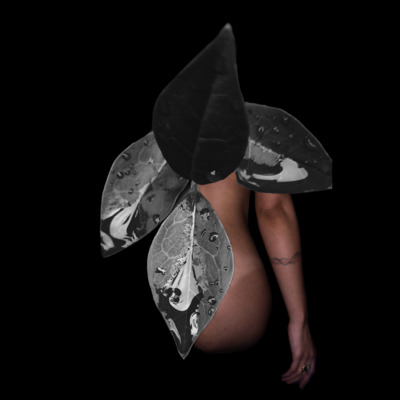  | In Utero (series)/ Ecco qui, il ritratto senza ritocchi
