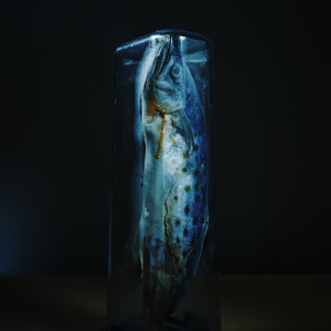  | PHAGO-