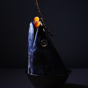  | PHAGO-