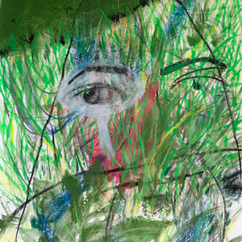 Aldo Dolcetti | Natura Umana