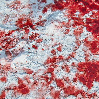  | Traces n.2