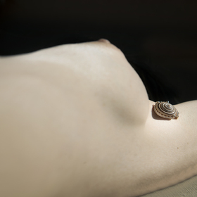  | Malaika shells Living Shapes
